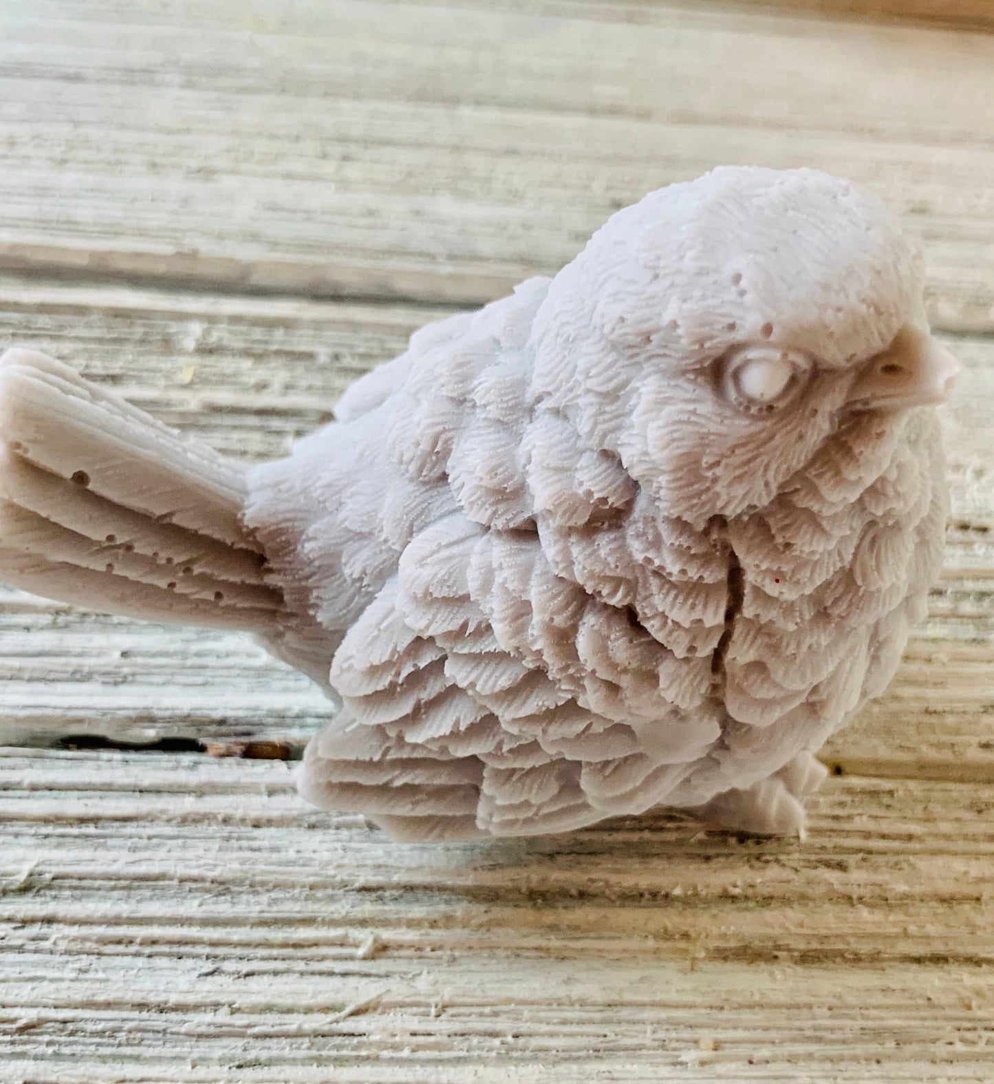 Bird Soap Handcrafted Gift | Party Favors | Garden Soap