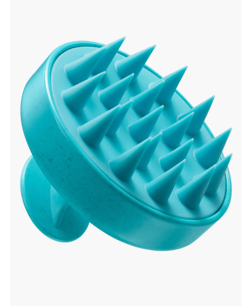 Moroccan Oil Scalp Brush